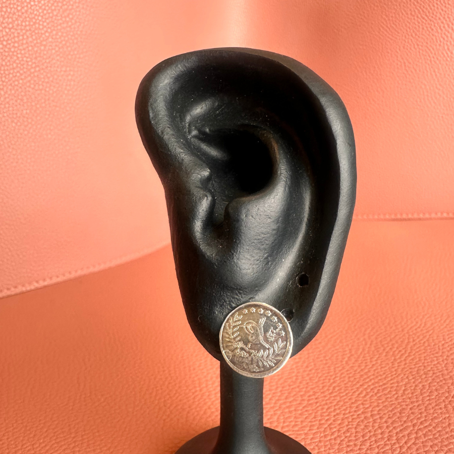 Silver Earrings (Medical Clip)